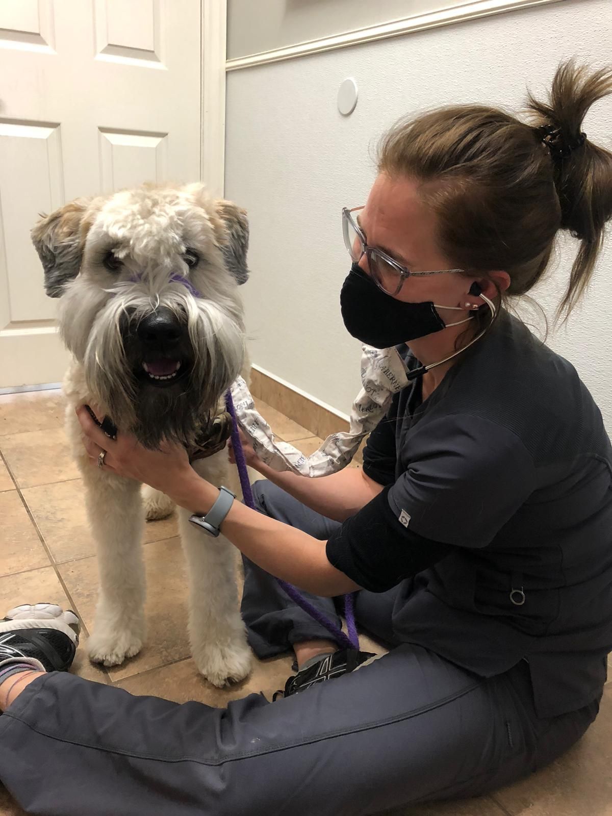 A dog and a person are in an office. The person is holding the dog. The dog is tan with a black nose. The person wears scrubs and a mask.