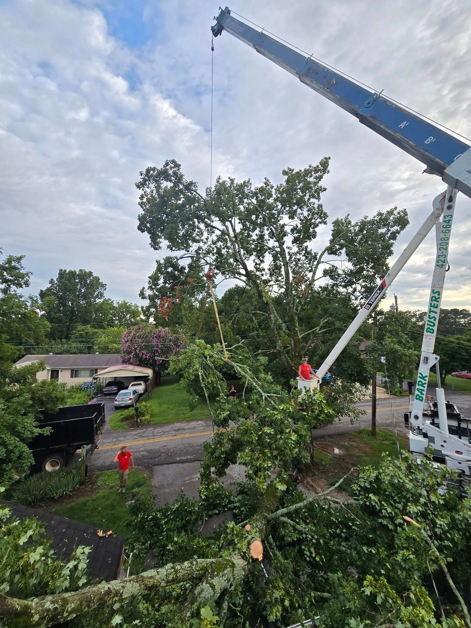 Utility crane lifting tree branches beside a suburban street on a cloudy day