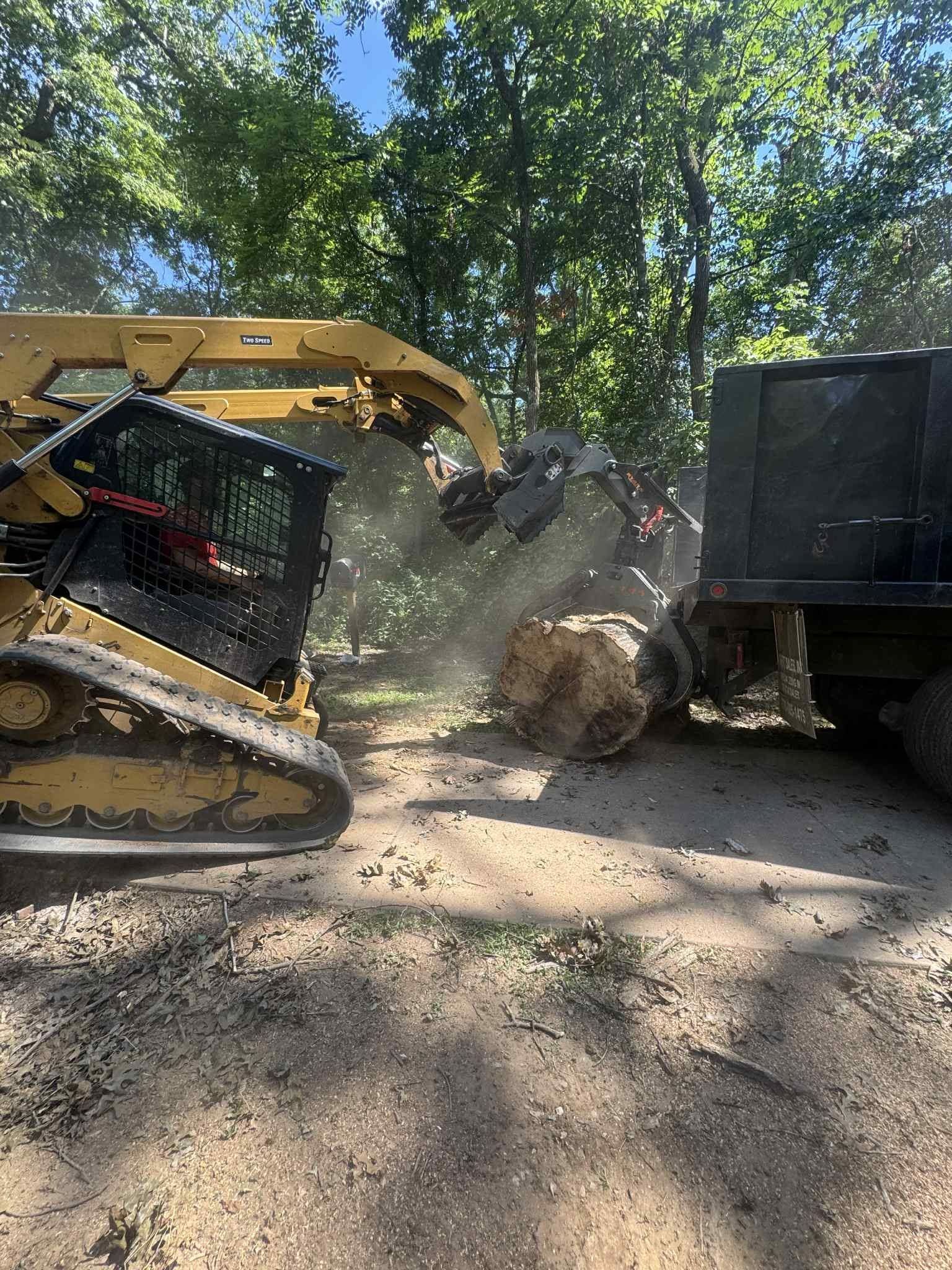 Yellow excavator and black dump truck clearing dirt on a wooded construction site