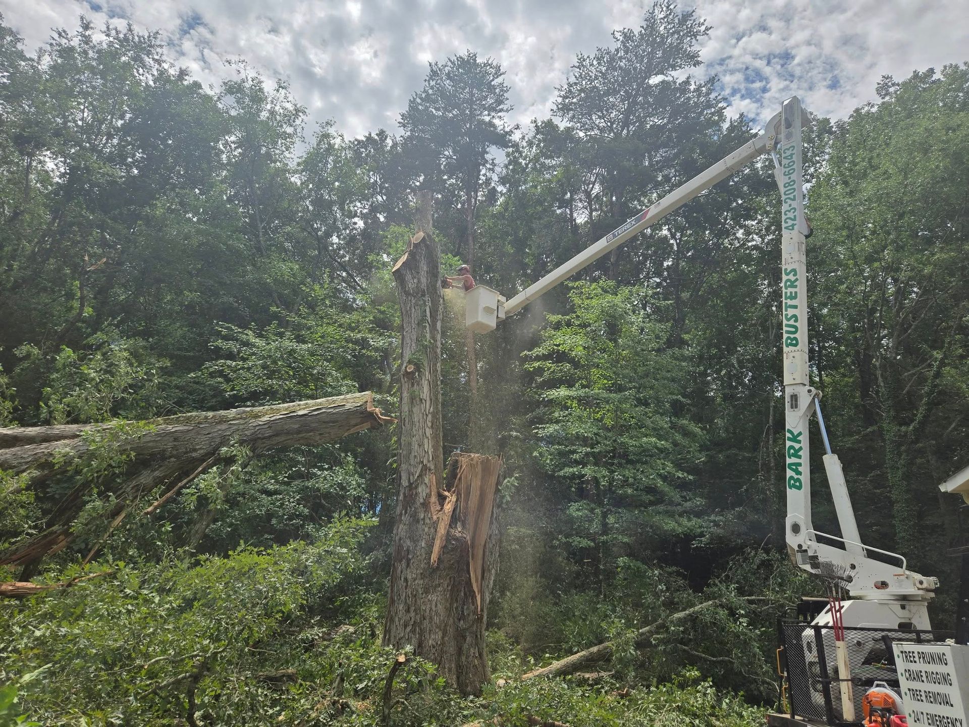 Utility truck lifting a fallen tree limb beside a wooded roadside after storm damage