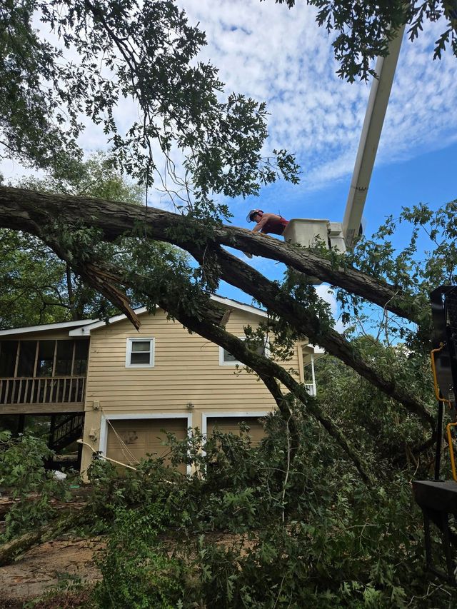 Storm-damaged tree limb lying across a beige house with a visible utility pole against a partly cloudy sky