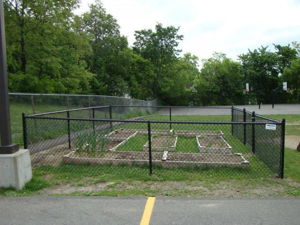 A chain link fence surrounds a garden in a park