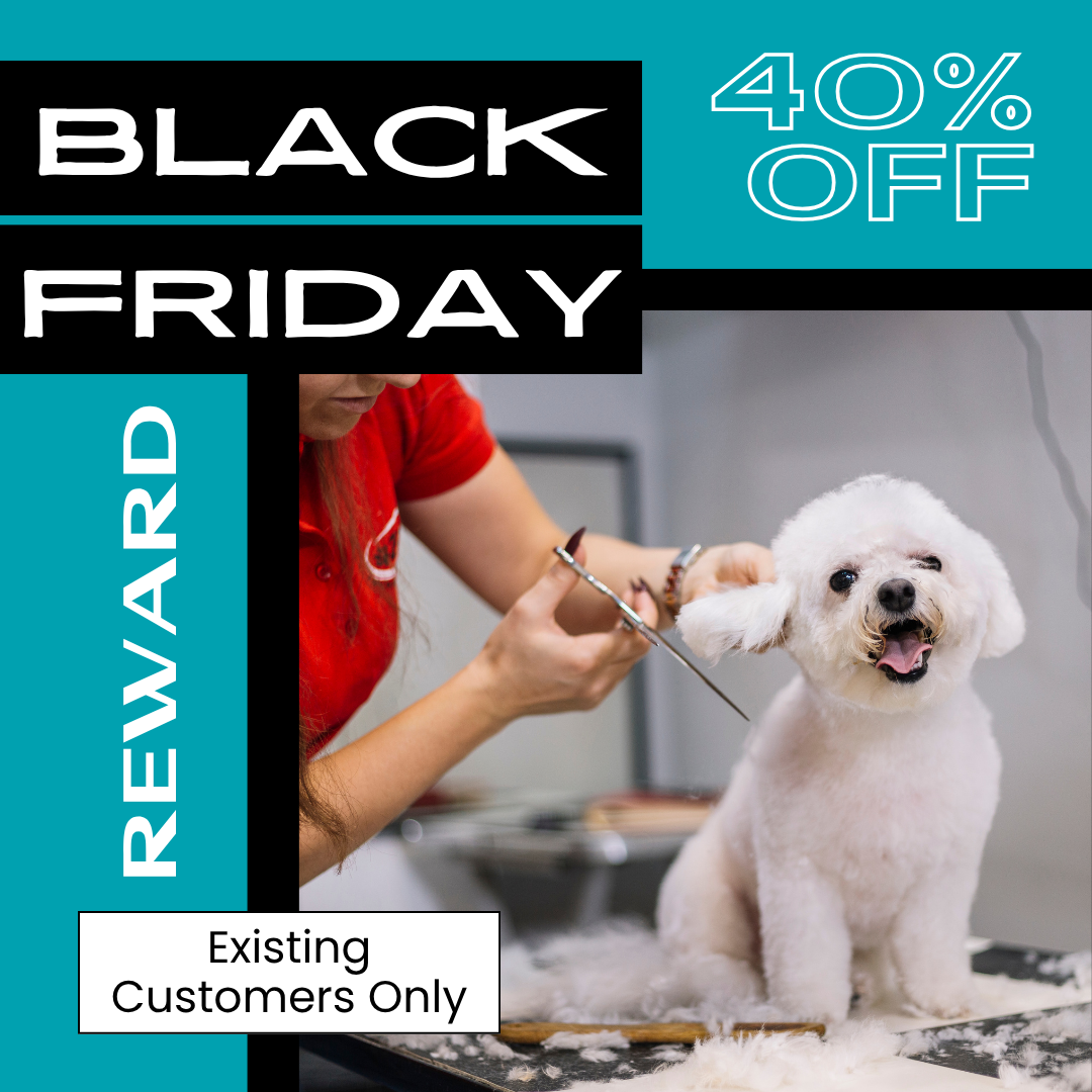 Black Friday promotion for dog grooming: dog being groomed with a 40% off discount for existing customers.