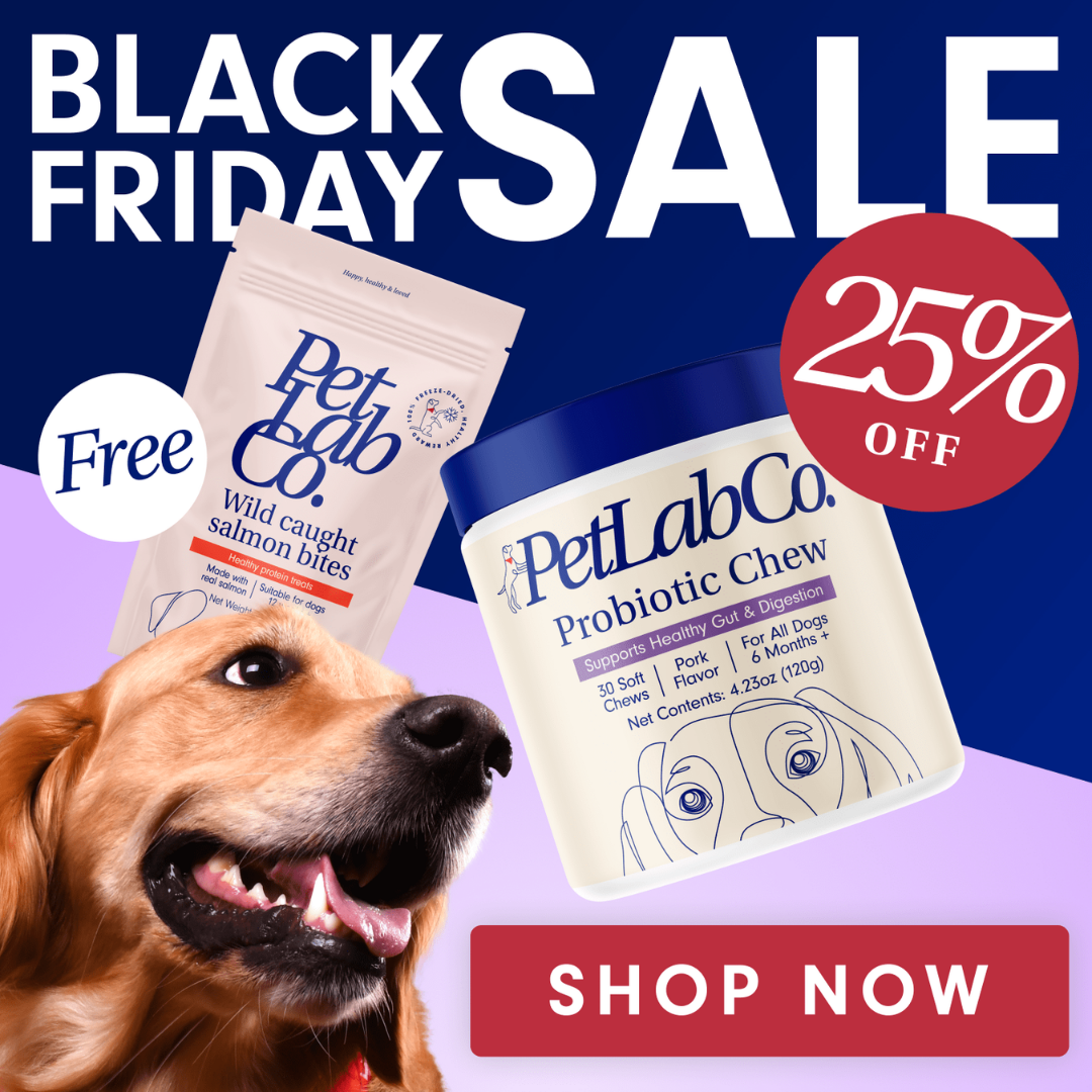 Black Friday sale ad: Dog with products; 25% off & free salmon bites.