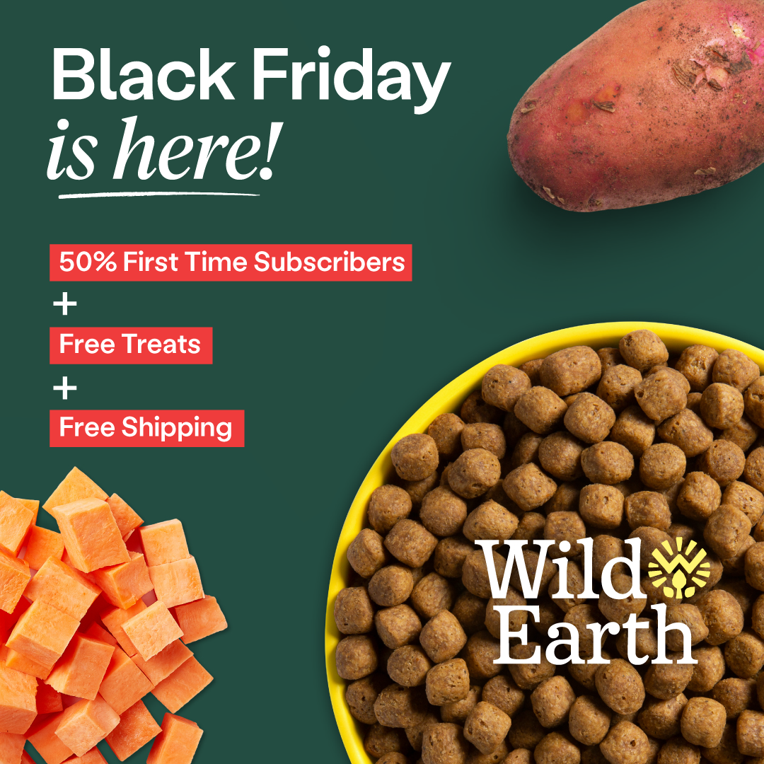 Black Friday ad: Wild Earth dog food, 50% off first subscription, free treats/shipping. Sweet potato, cubes, kibble.