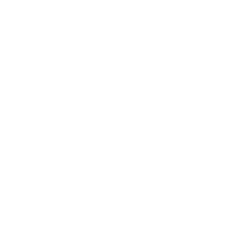 Emblem 2