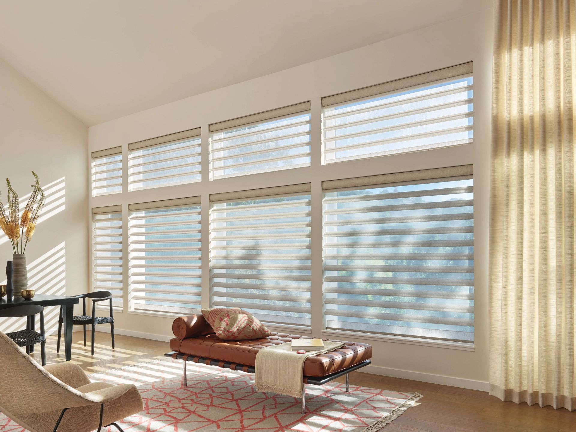 Hunter Douglas Roman Shades 