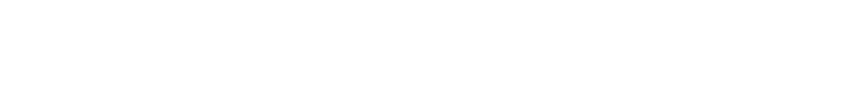 White horizontal bar with a thin red underline on a white background.