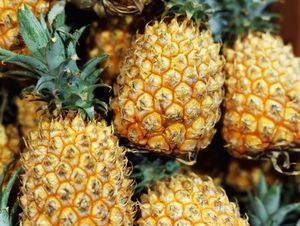 A bunch of pineapples are sitting on top of each other on a table.