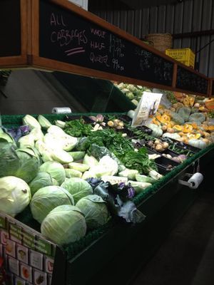 A variety of vegetables are on display in a grocery store.
