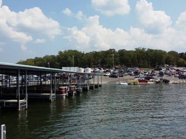 Boats docked at a marina with cars parked in the background, a blue sky, and trees.