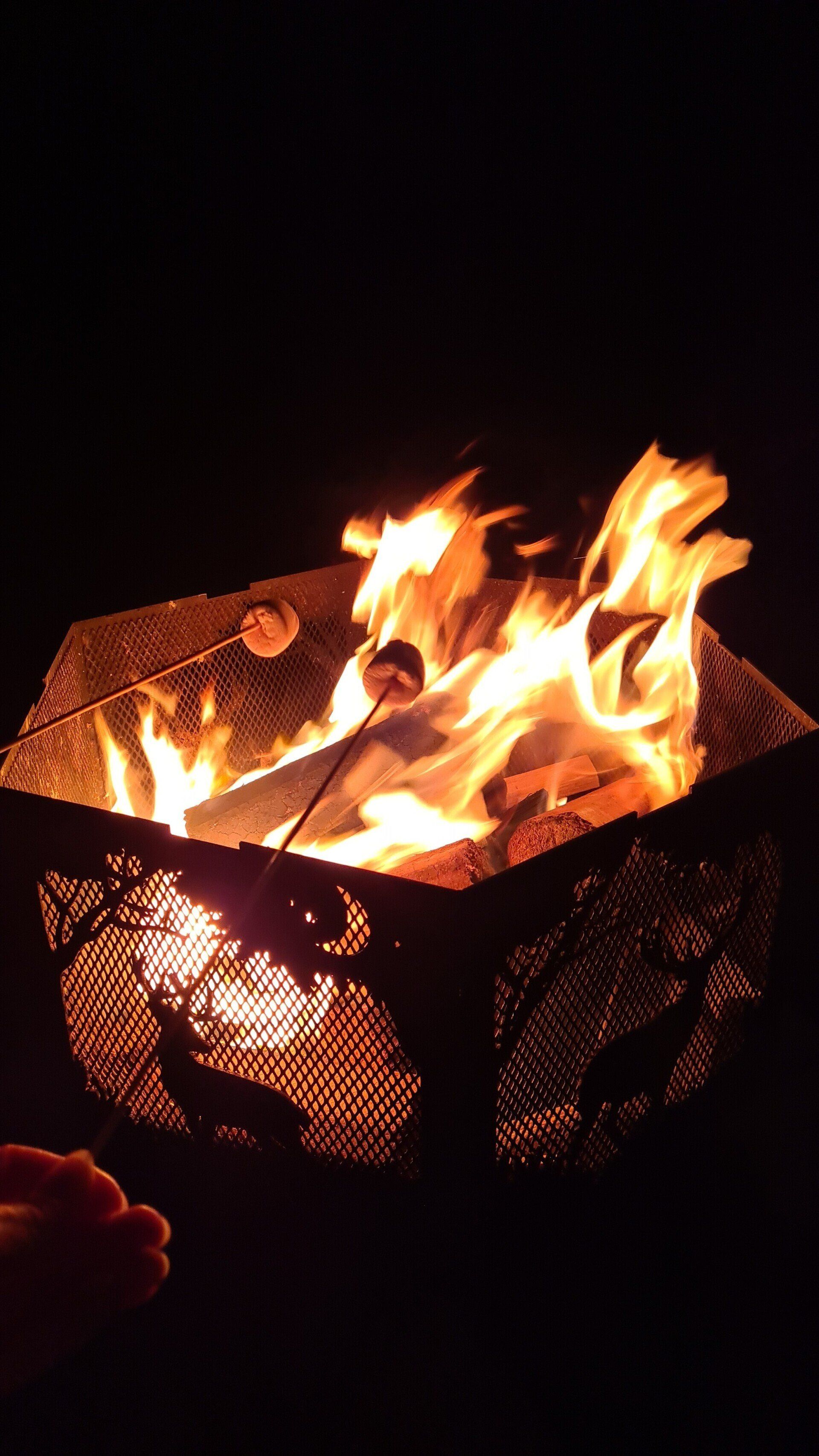 A person is roasting marshmallows over a fire pit at night.