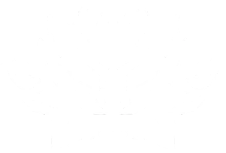 Blank white image with a thin black border at the bottom