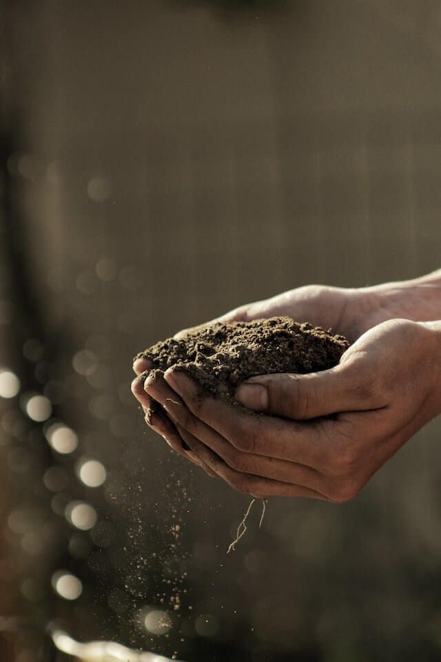 Hands holding soil with small seeds, crumbs falling against a blurred background