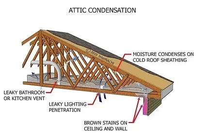 Attic roof diagram showing condensation, leaks, and brown ceiling stains with labeled problem areas