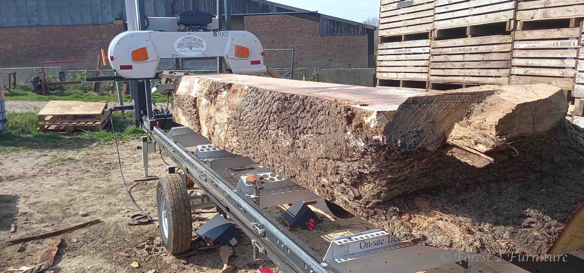 Each section was carefully loaded onto the bandsaw mill for processing