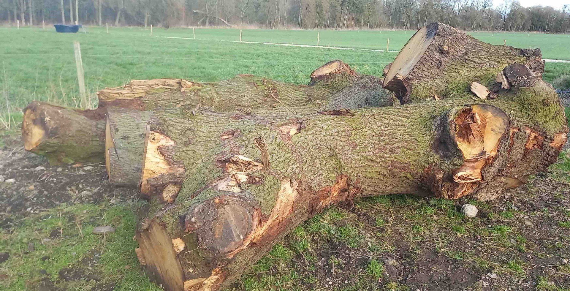 In total there were four large branch sections to mill