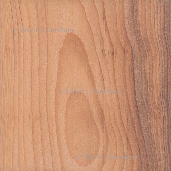 image showing grain colour and pattern of English Yew timber