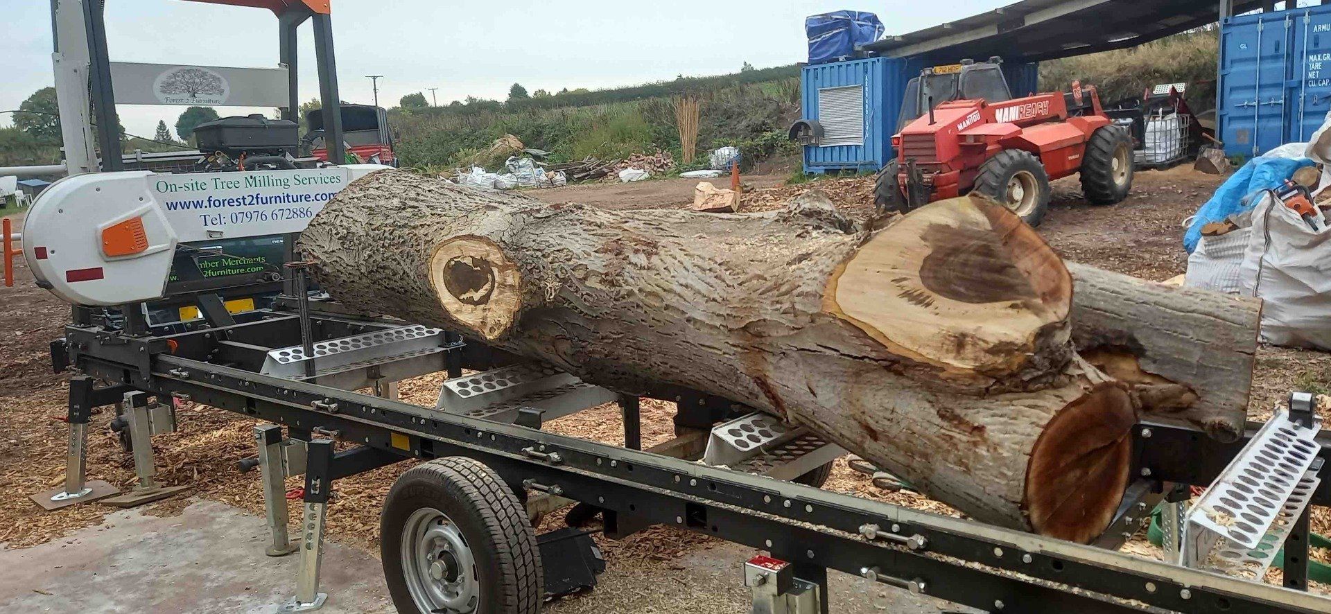 Walnut loaded, waiting for milling instructions from customer