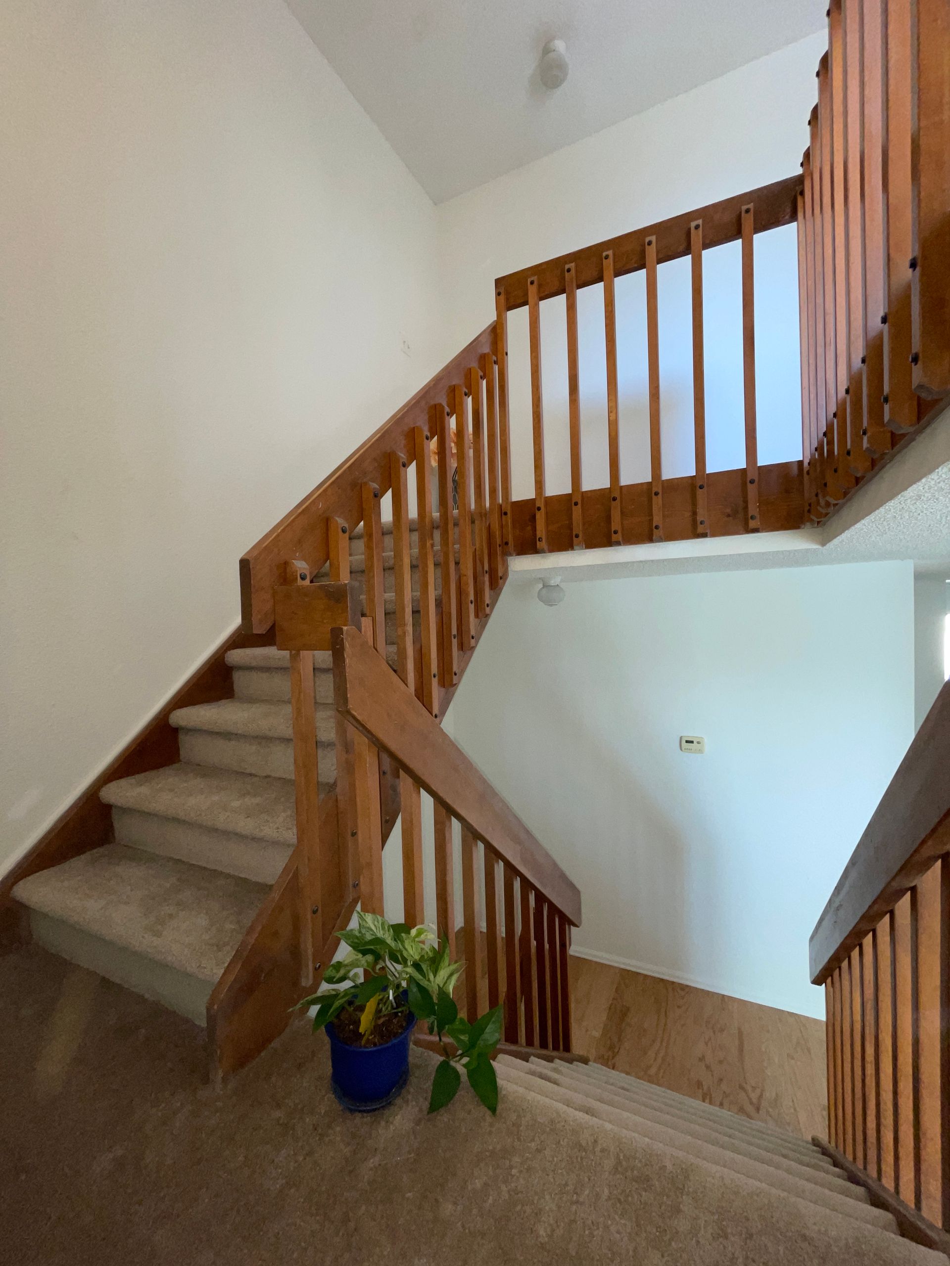 A staircase with a wooden railing and a blue potted plant