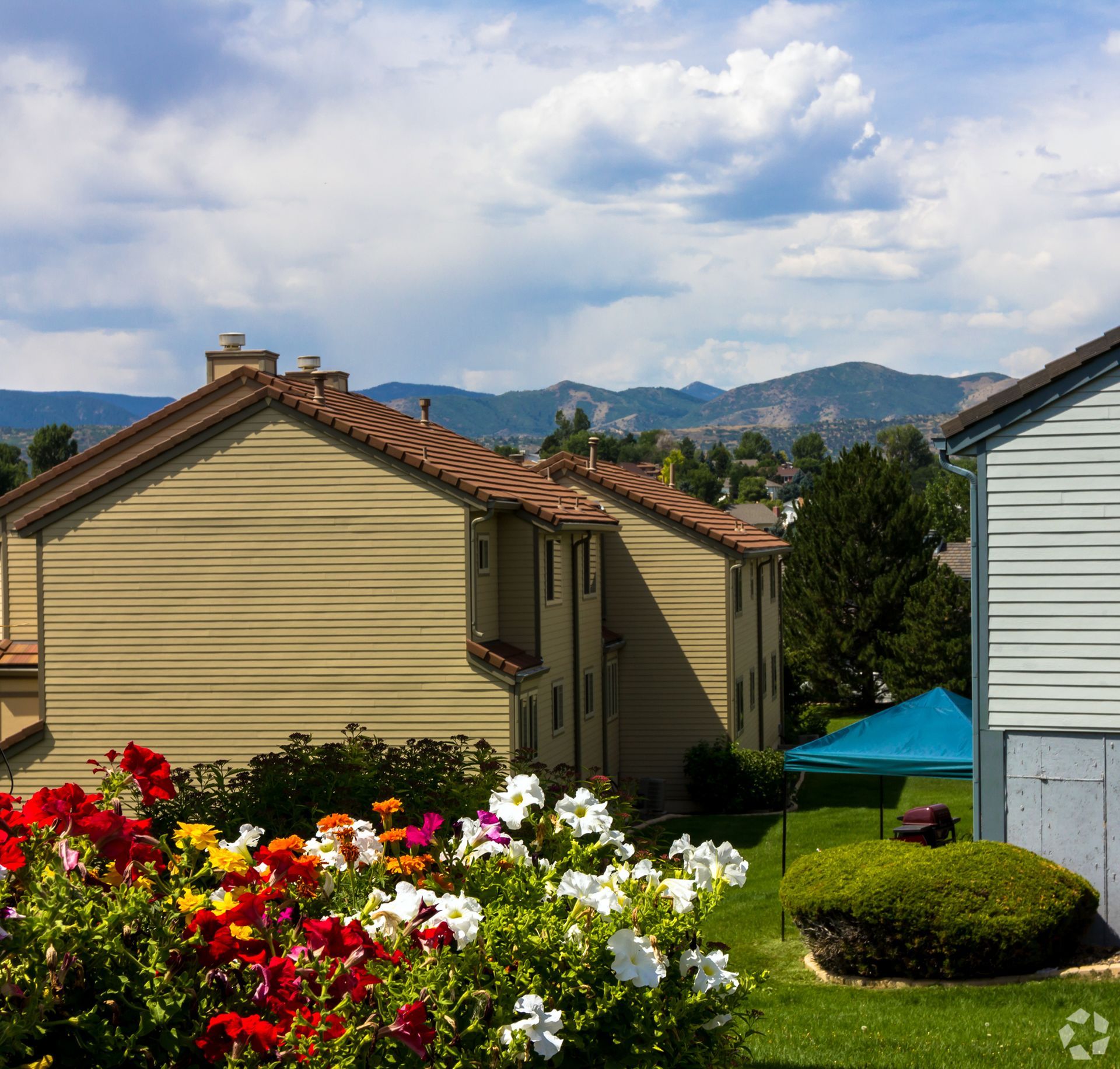 A house with a large lawn and flowers in front of it