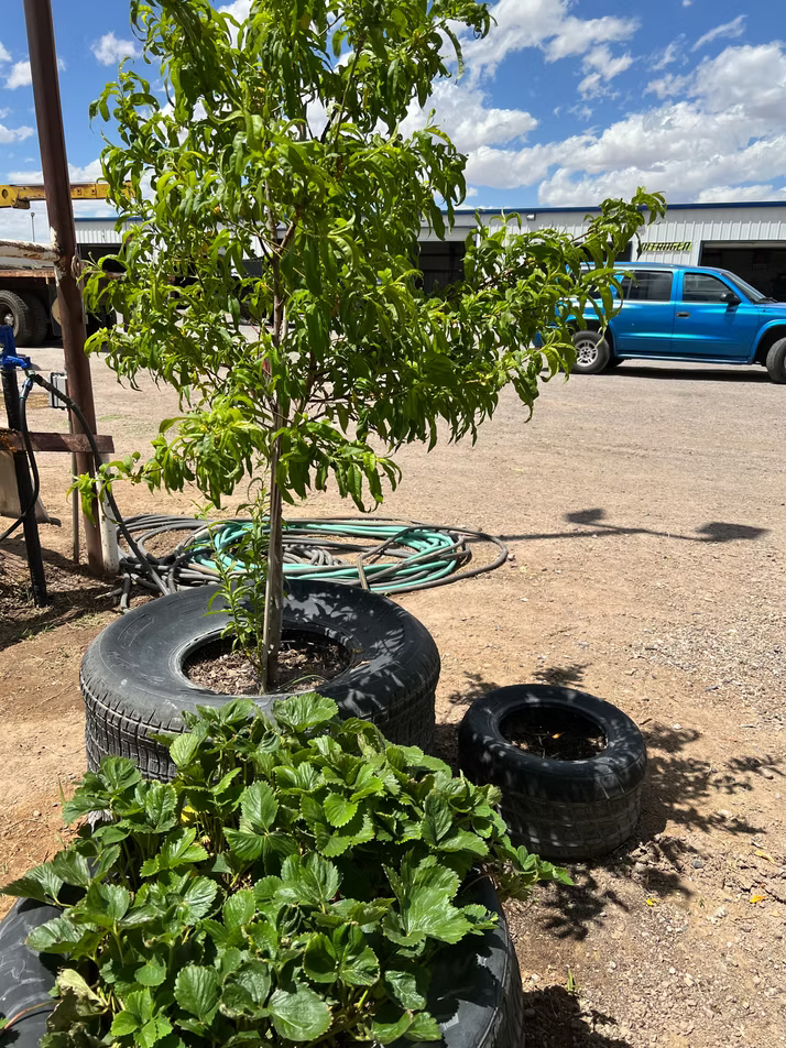 Gallery Image | Craig Independent Tire Co