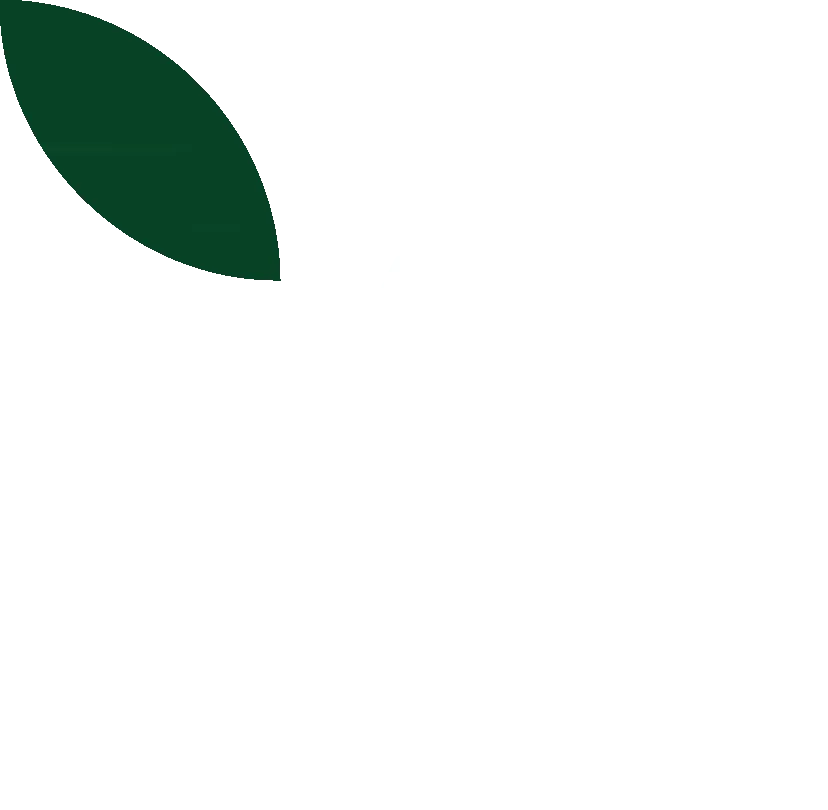 A green leaf is floating in the air on a white background.