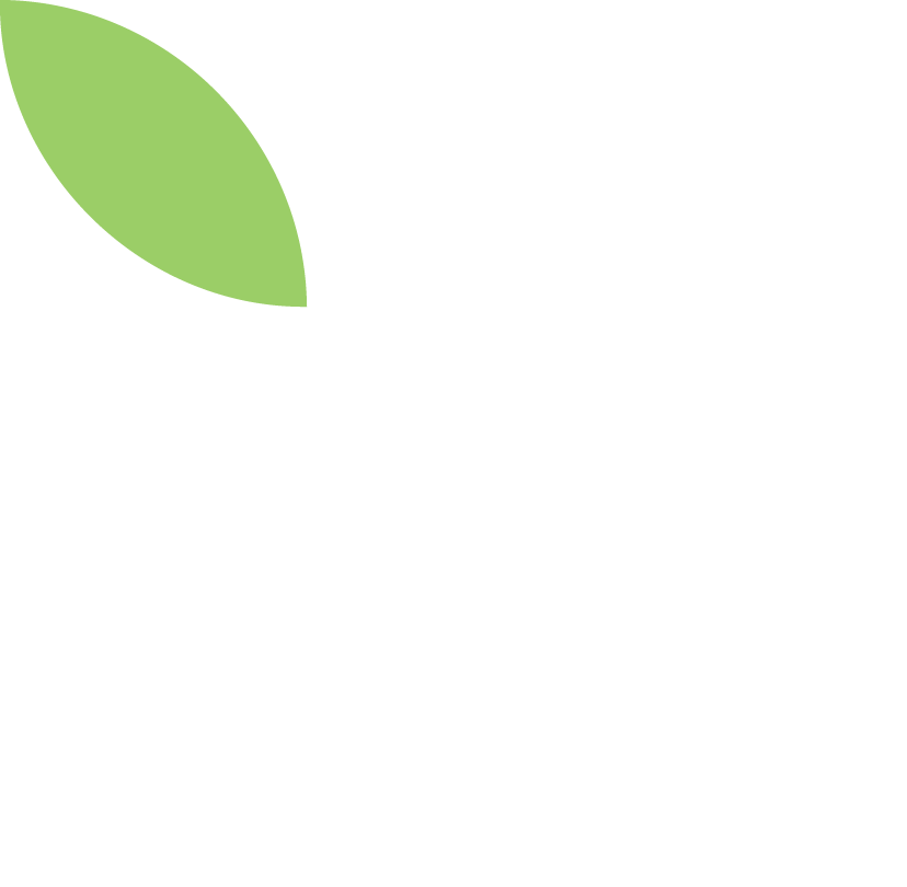 A green leaf is floating in the air on a white background.