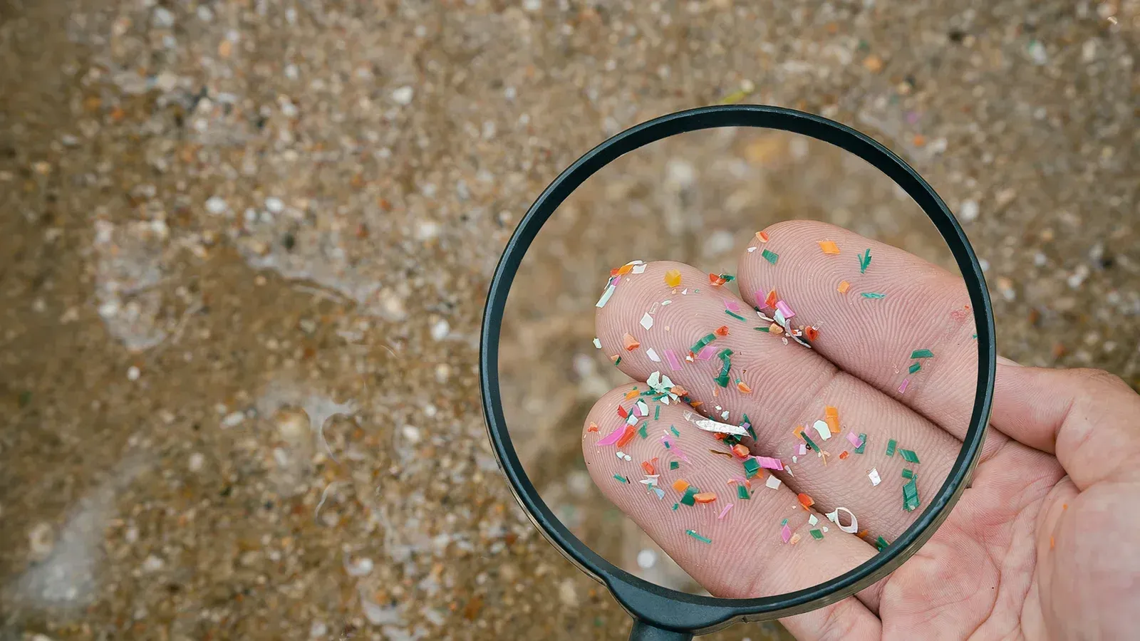 A person is holding a magnifying glass in their hand.