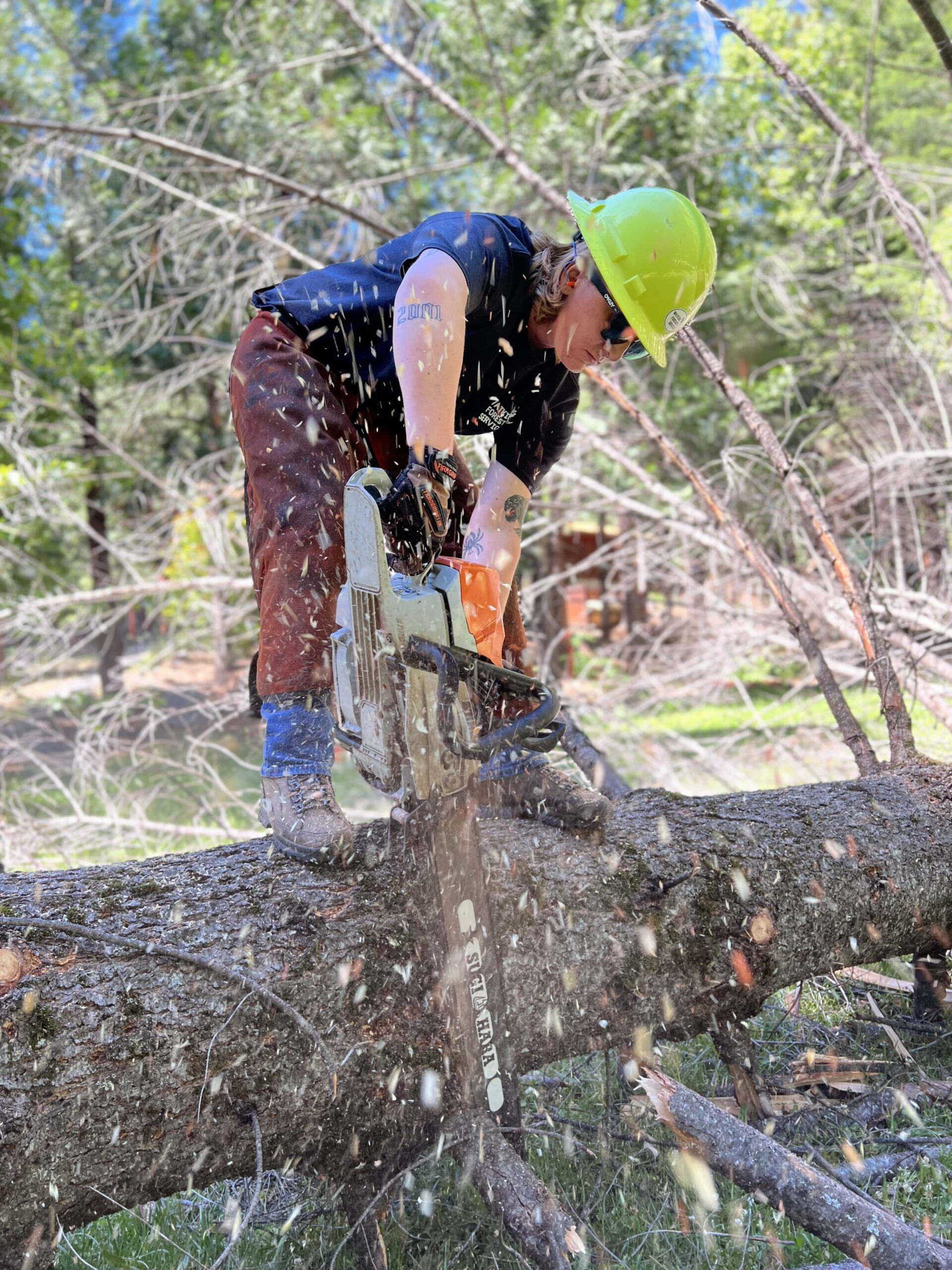 Tree Removal Placerville