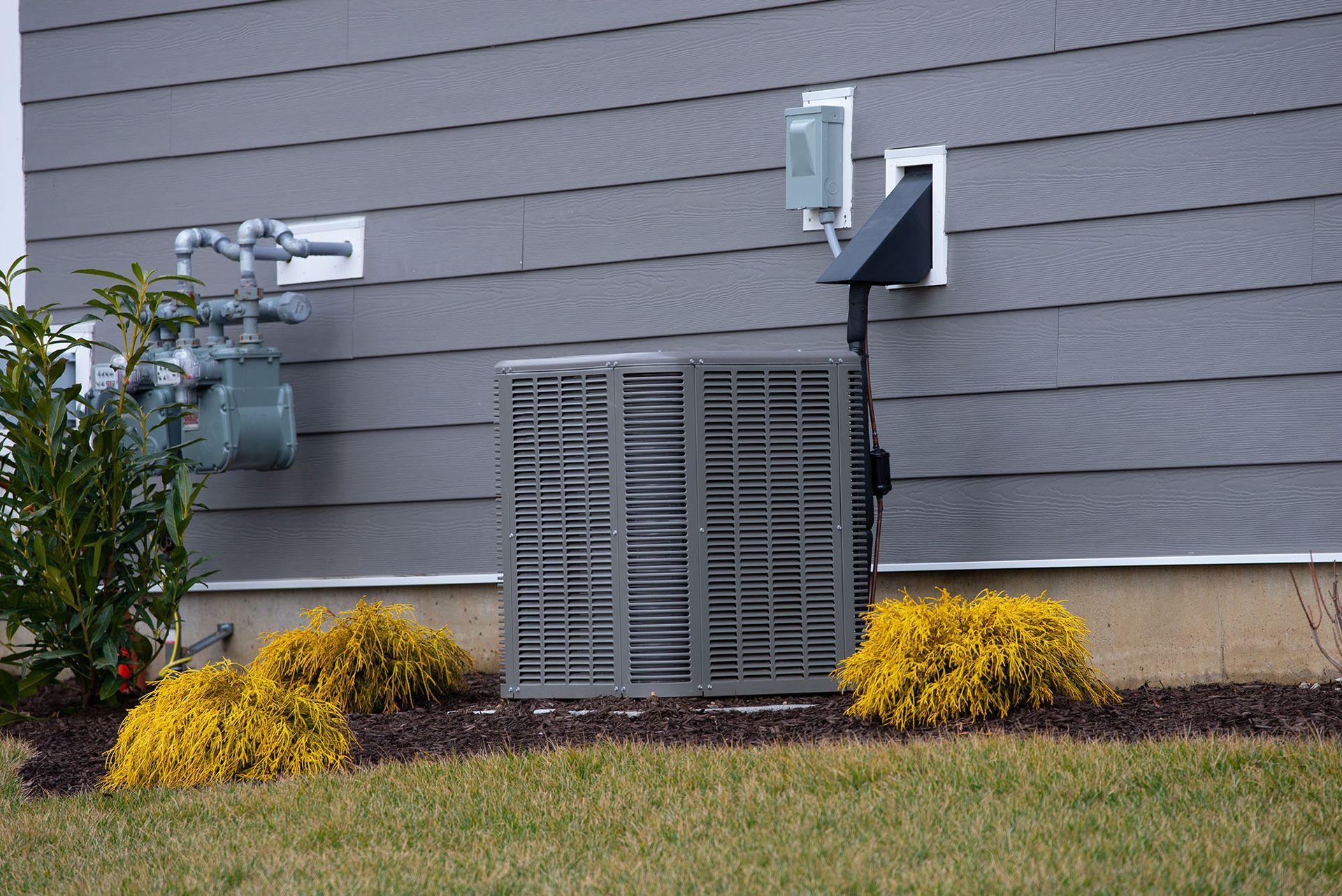 Gray house exterior with utility vents, shrubs, and yellow flowers along the foundation