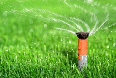 Sprinkler spraying water on green grass.