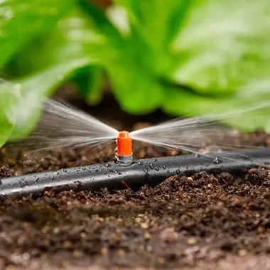 Sprinkler system spraying water over dark soil, with green plants in the background.