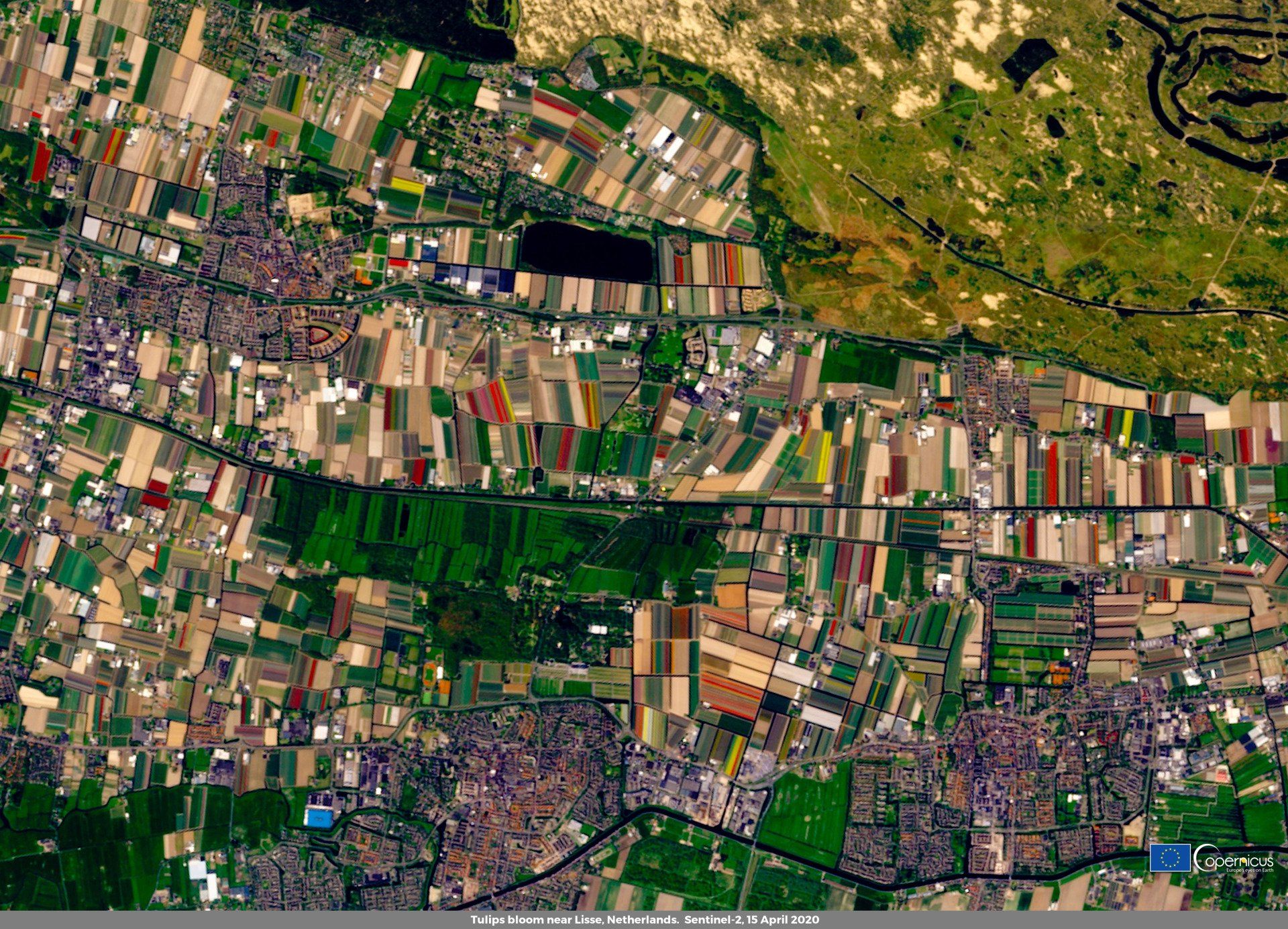 Attēlā: Copernicus satelītuzņēmums, kurā ir redzami raibie tulpju lauki Nīderlandē.
