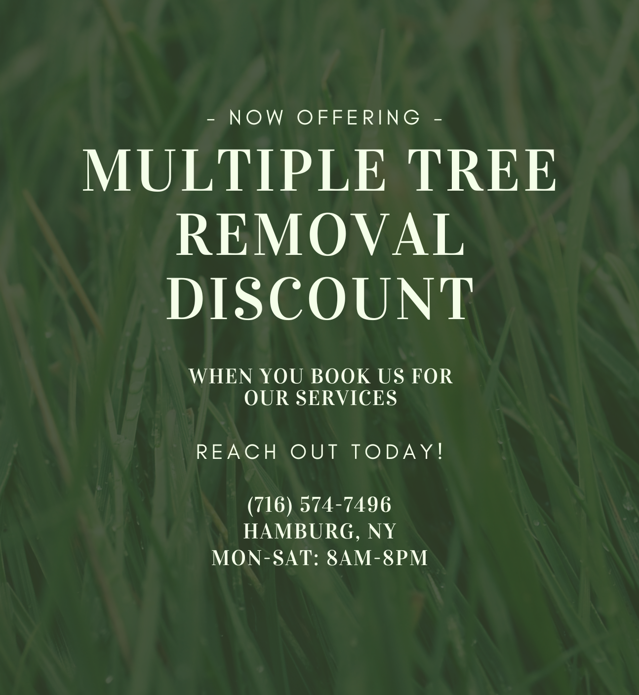 Get multiple trees removed at a discount in Hamburg, NY with Canfield's Landscaping 