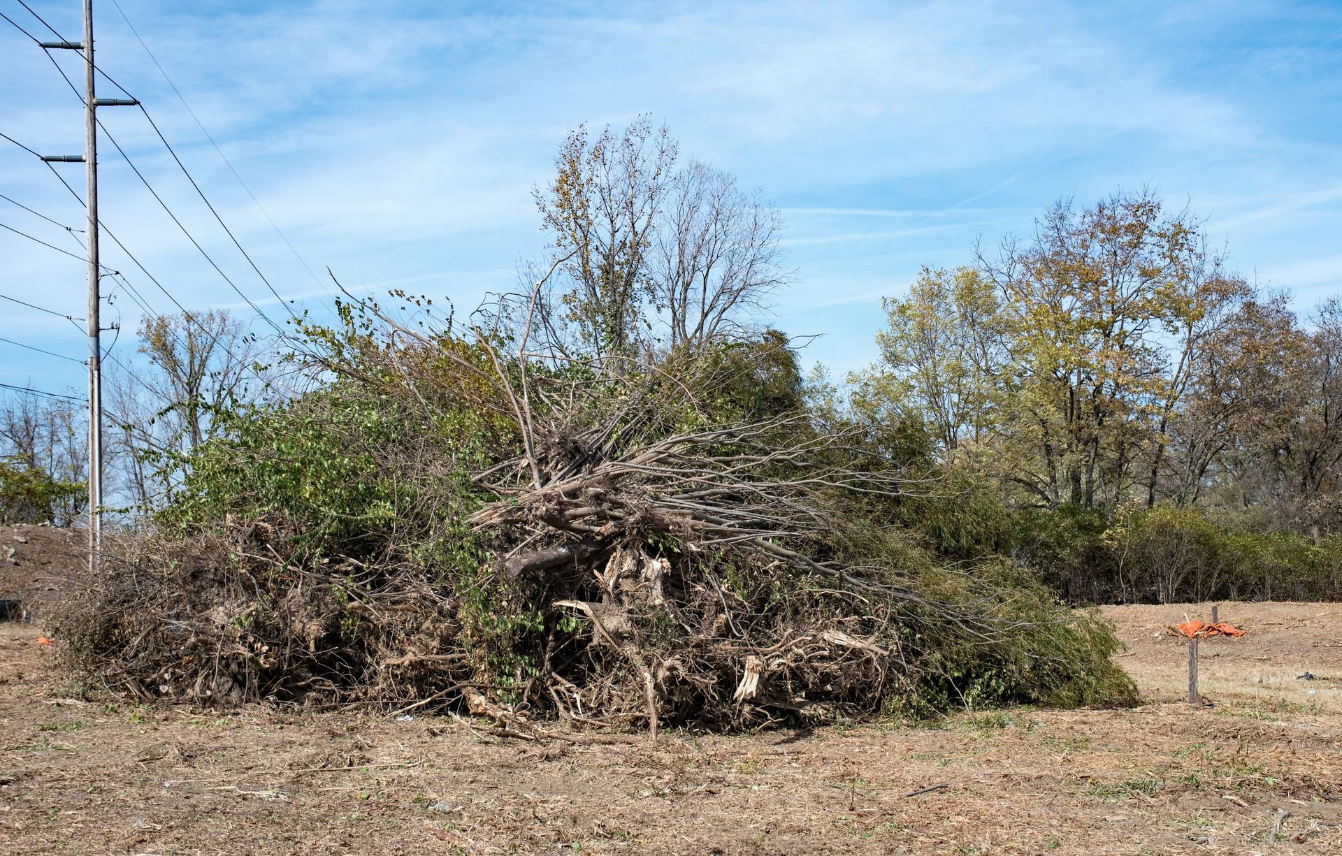 there is a large pile of branches in the middle of a field .