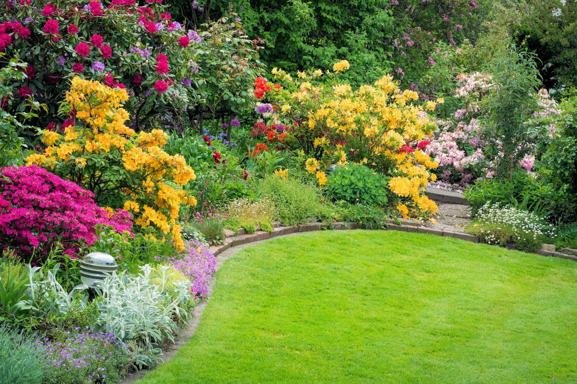 there are many different types of flowers in the garden .