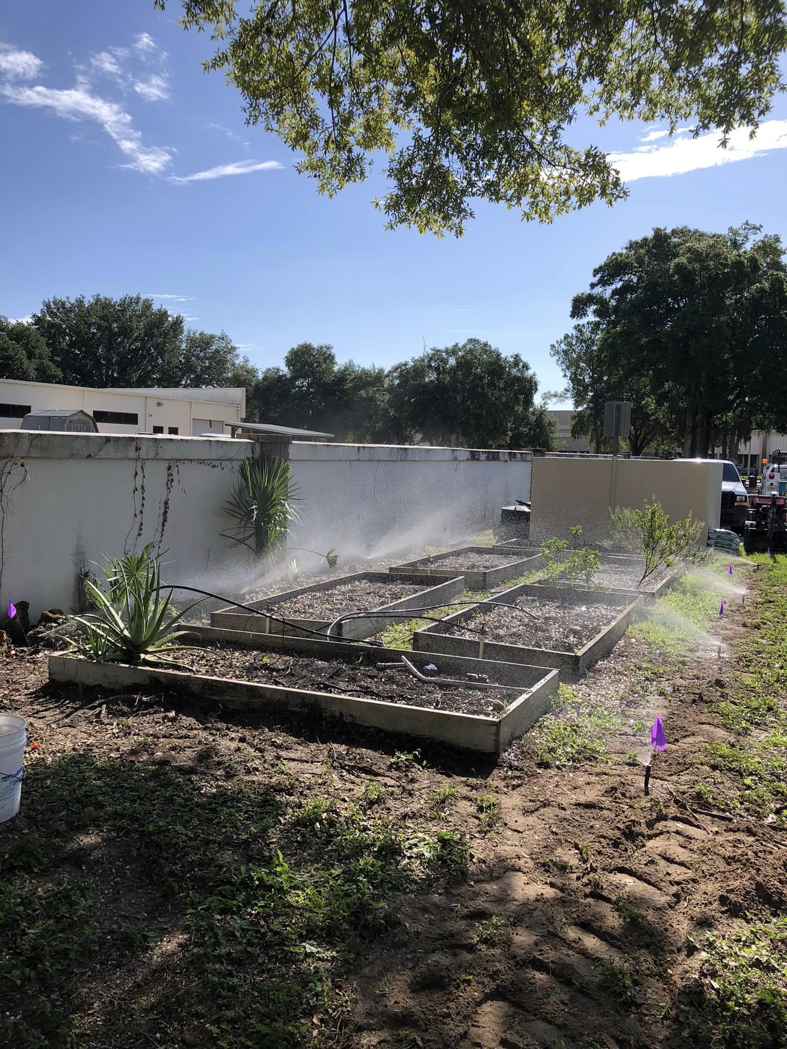 A sprinkler is spraying water on a vegetable garden.