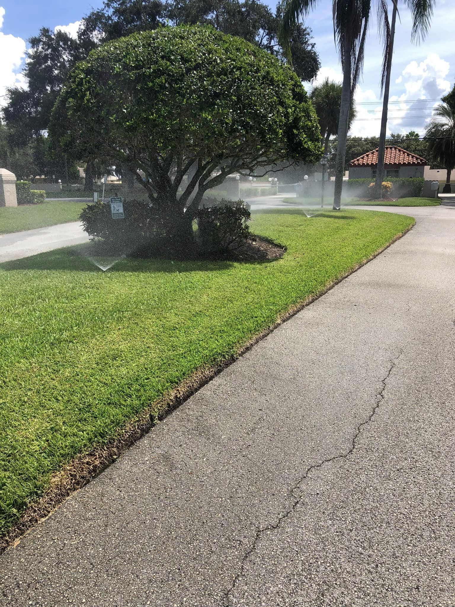 A sprinkler is spraying water on a lush green lawn.
