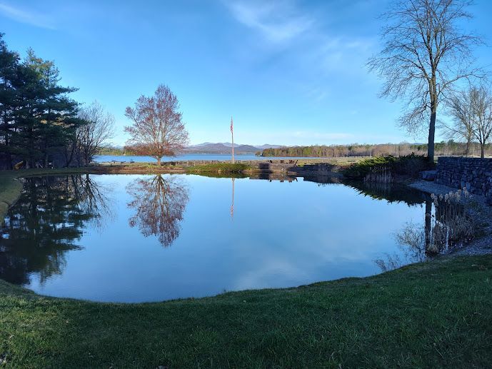 Pond management near me