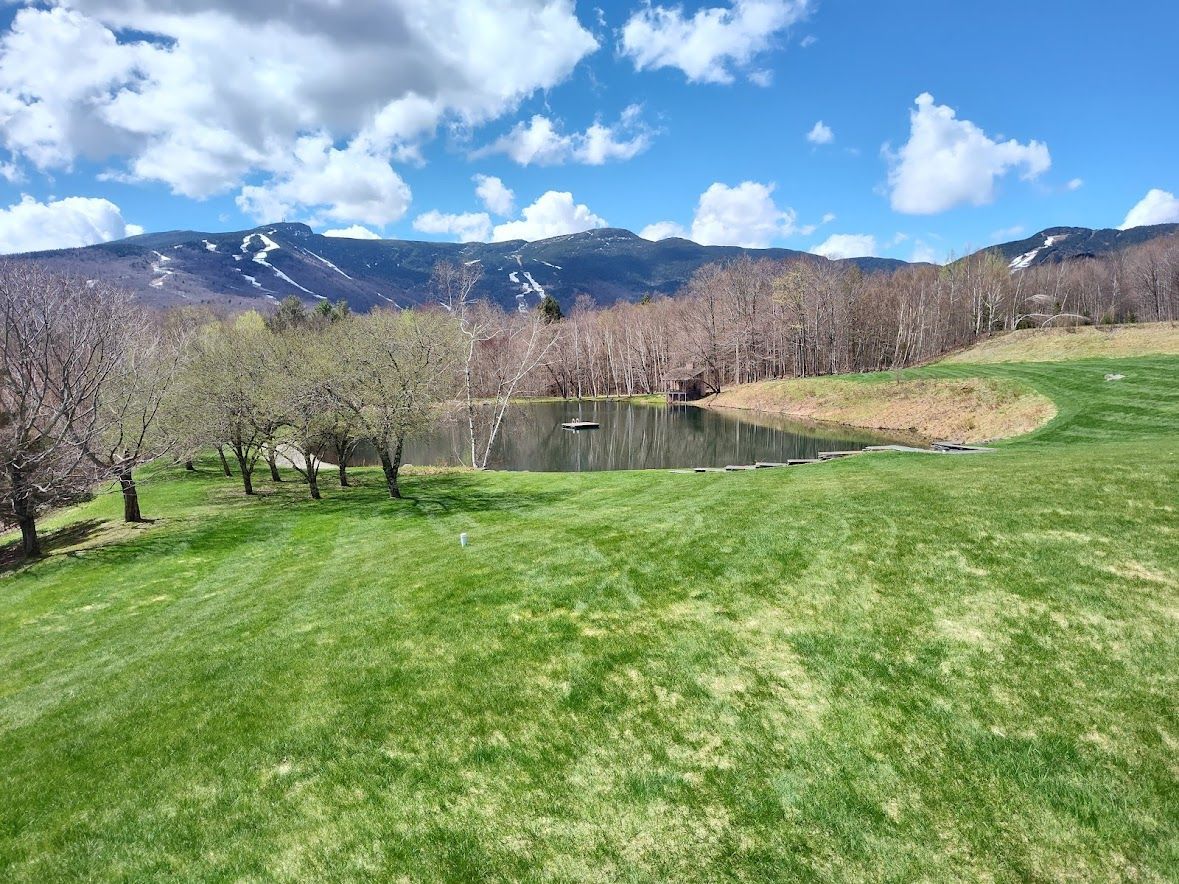 Pond aeration can help balance algae levels
