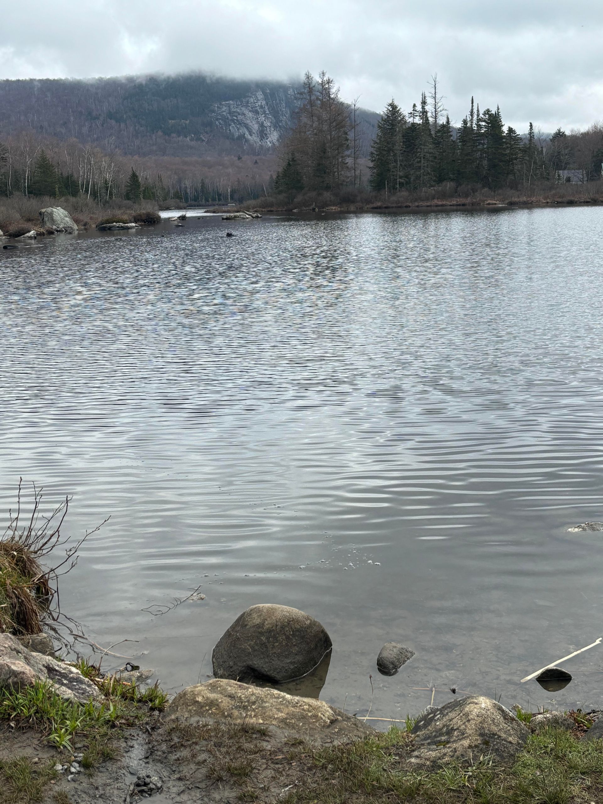 Pond management Vermont