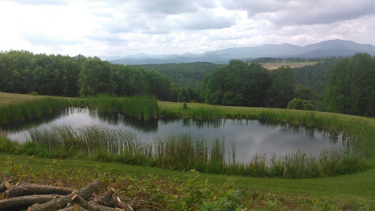 Pond maintenance Montpelier Vermont