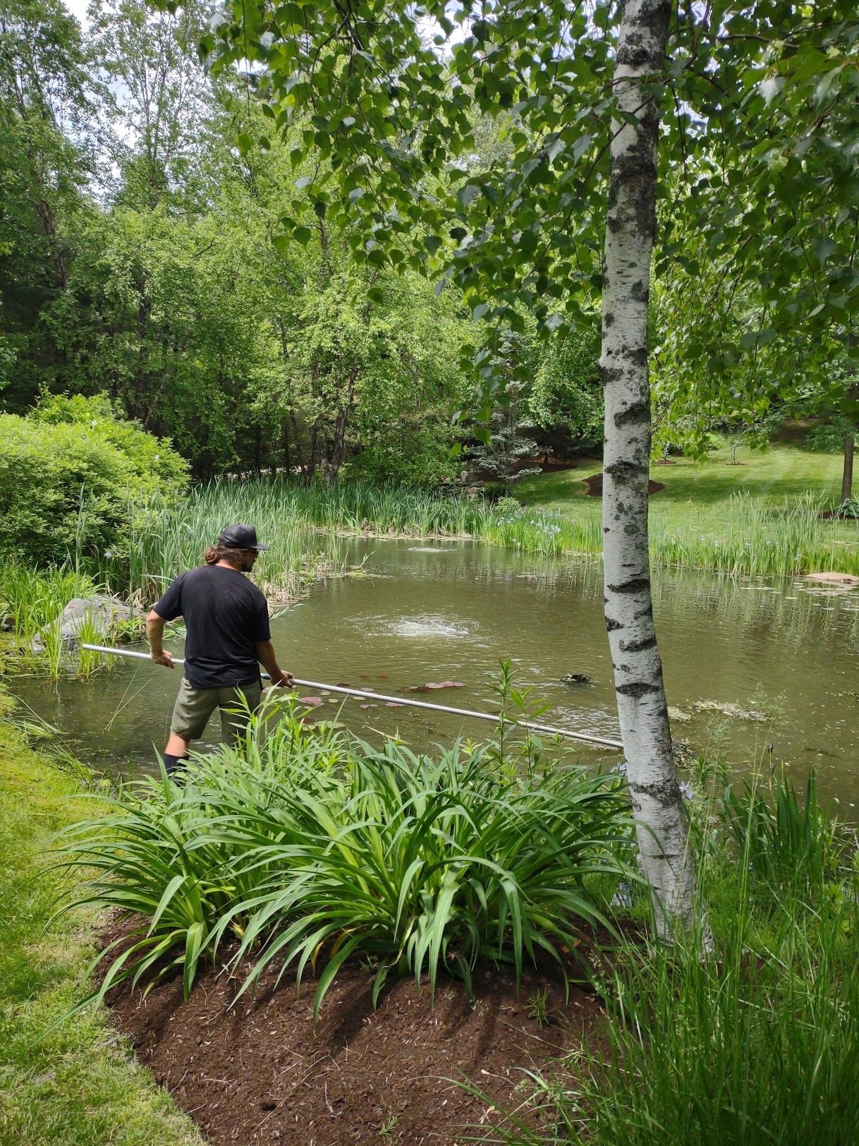 pond cleaning Stowe Vermont