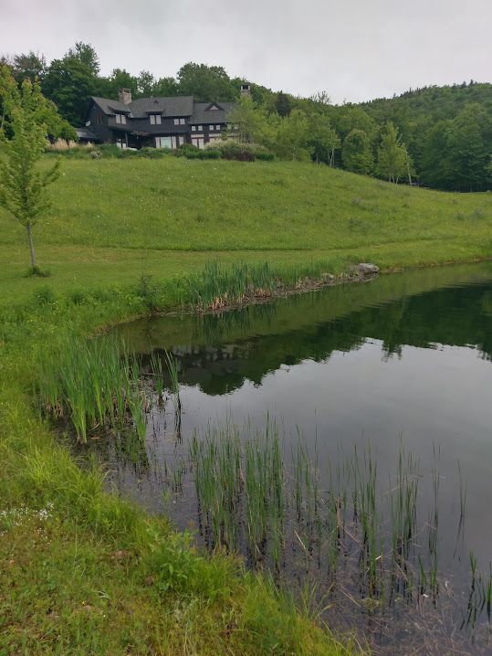 Stowe Vermont Pond Cleaning