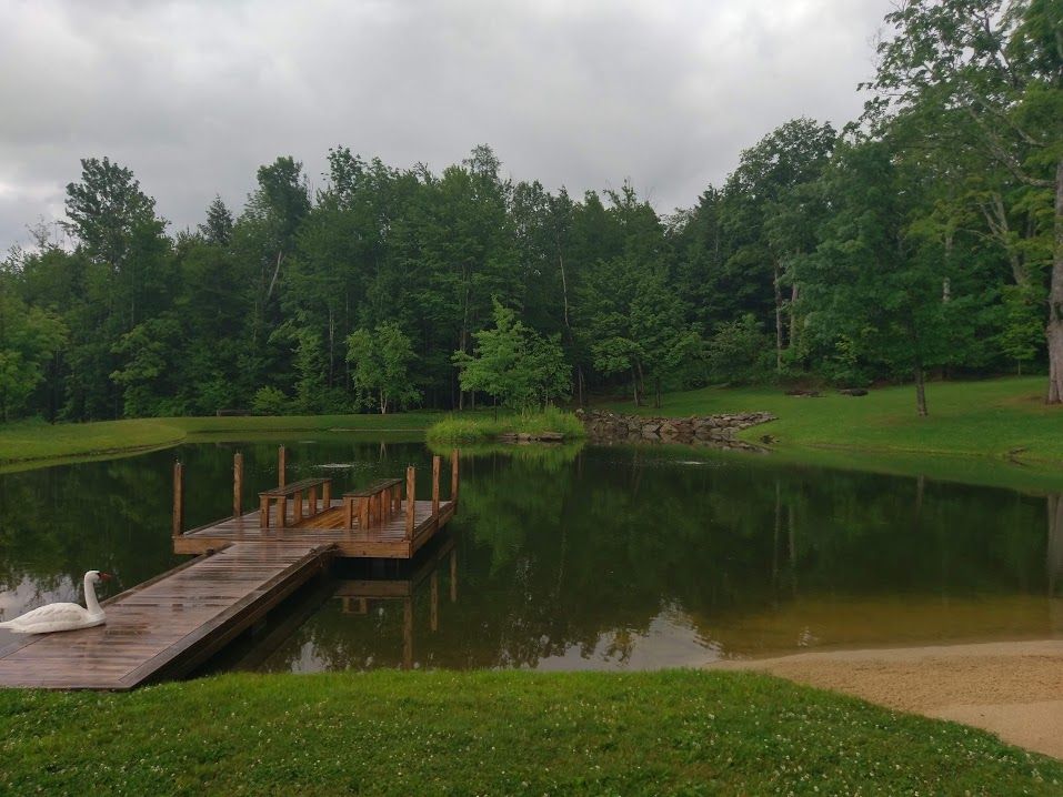 Vermont pond construction