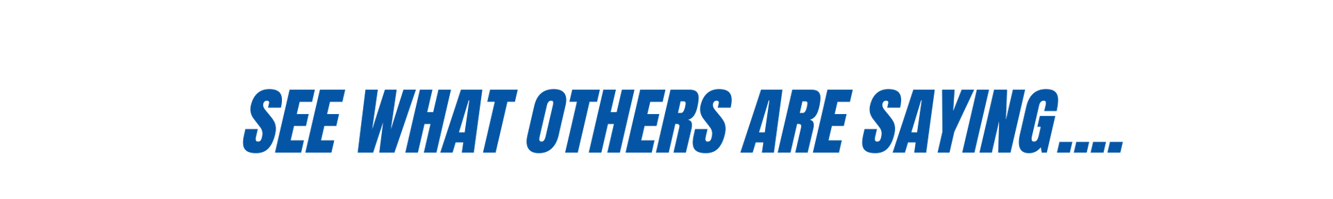 Blue text reading “SEE WHAT OTHERS ARE SAYING….” on a white background