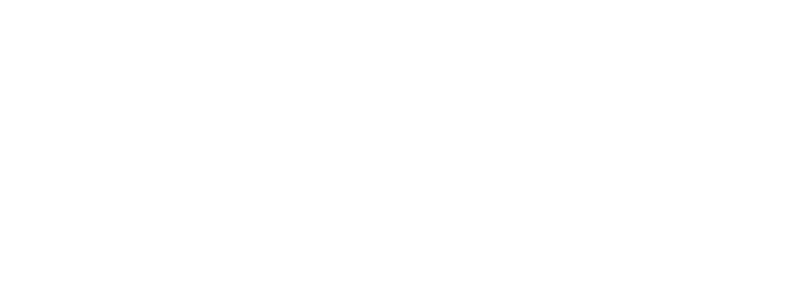 Capital Painters logo in white
