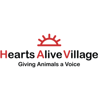 Logo for Hearts Alive Village featuring a red sun icon above the text