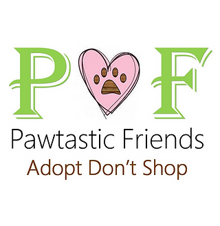 Logo for Pawtastic Friends: green letters